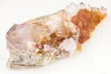 Cactus Quartz (Amethyst) Crystal- South Africa #187208-1